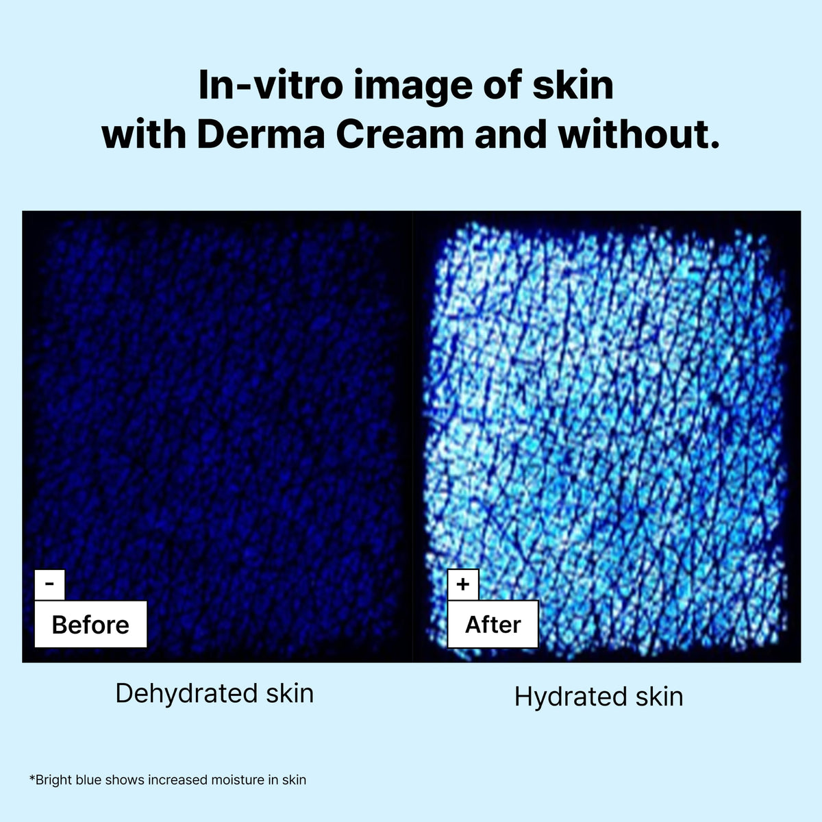 Dr Jart Power Derma Barrier Korean Face Cream - Premium Selection Official Imagery - 8