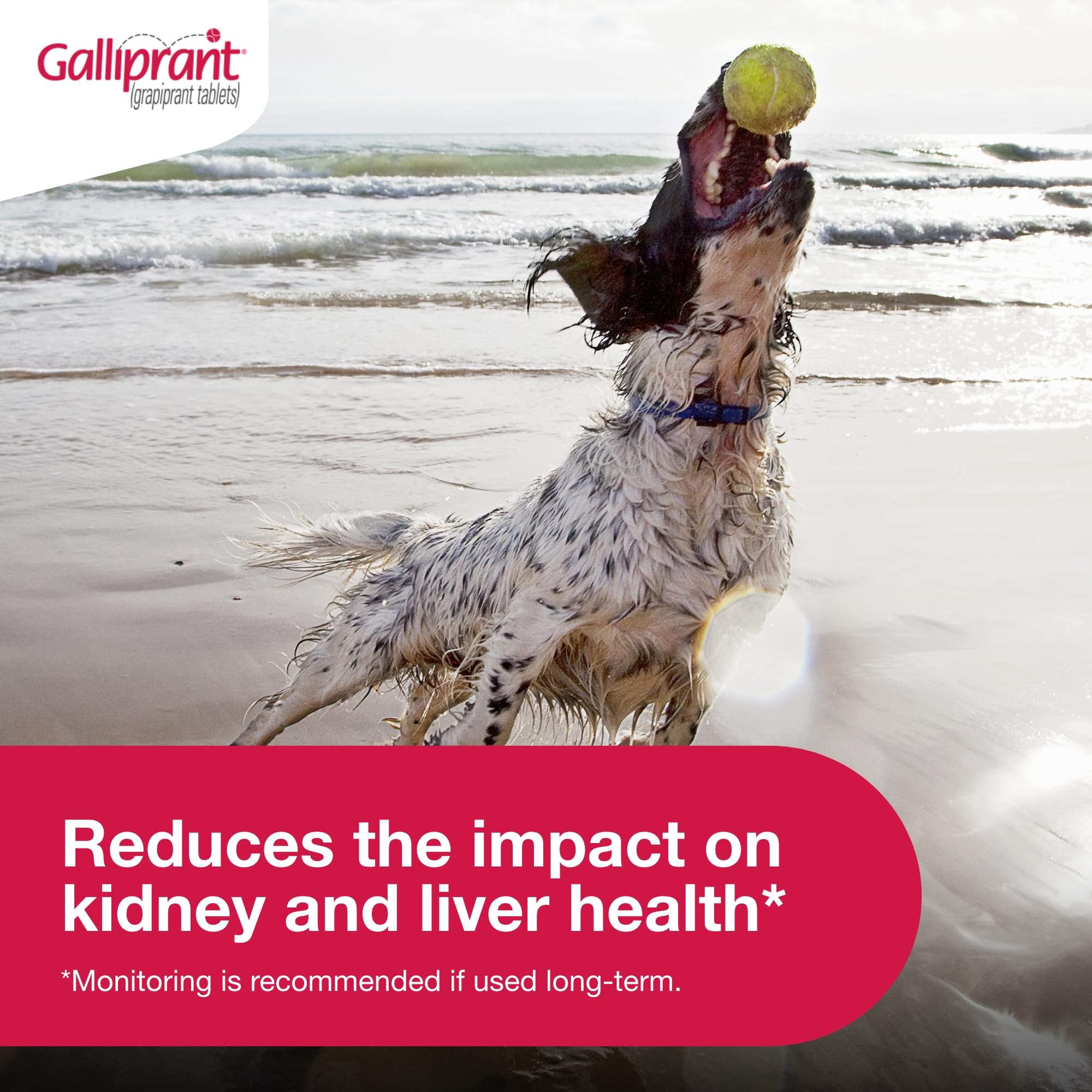 Galliprant   Tablets for Dogs, 100 mg, 30ct - Galliprant Official Product View 4