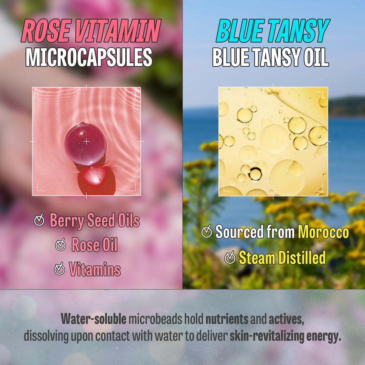 Rose Vitamin Blue Tansy Oil Foam Gift Set - MAXCLINIC Official Imagery - 7