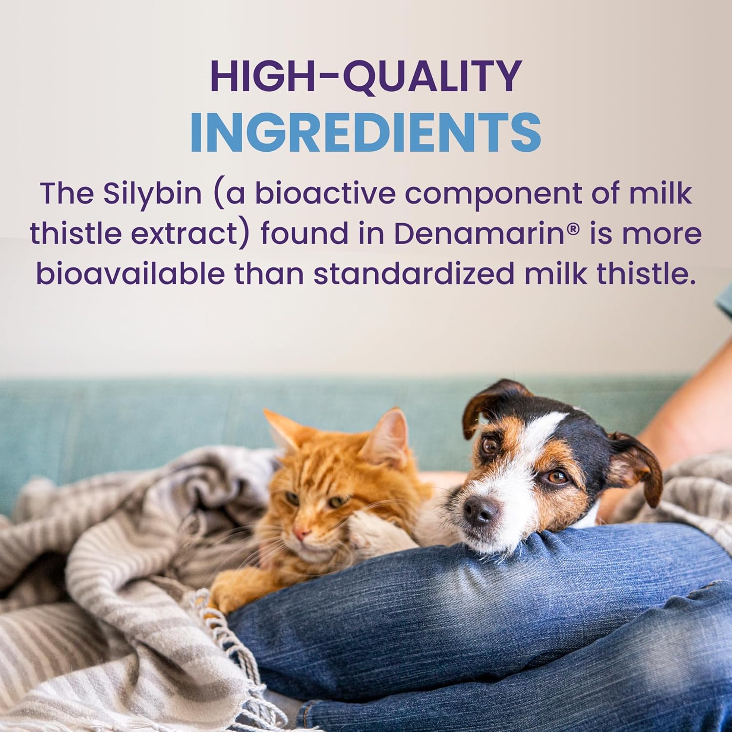 Nutramax Laboratories Denamarin liver health supplement for small dogs and cats in a white bottle with a label.