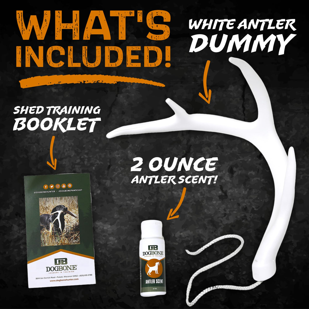 DogBone Shed Hunting Dog Training Kit Train Your Puppy to - DogBone Official Imagery - 4