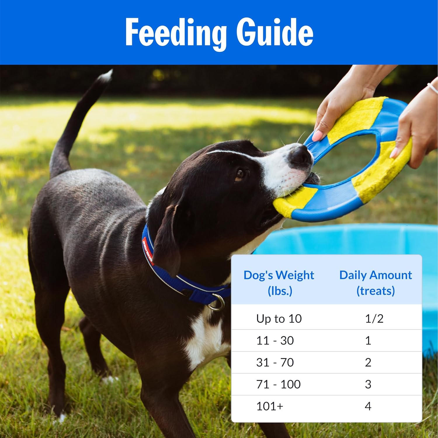 Elefair PetPlate Hip Hopping Soft Chews for Dogs, hip and joint supplement treats with chewed and packaged soft chews visible.