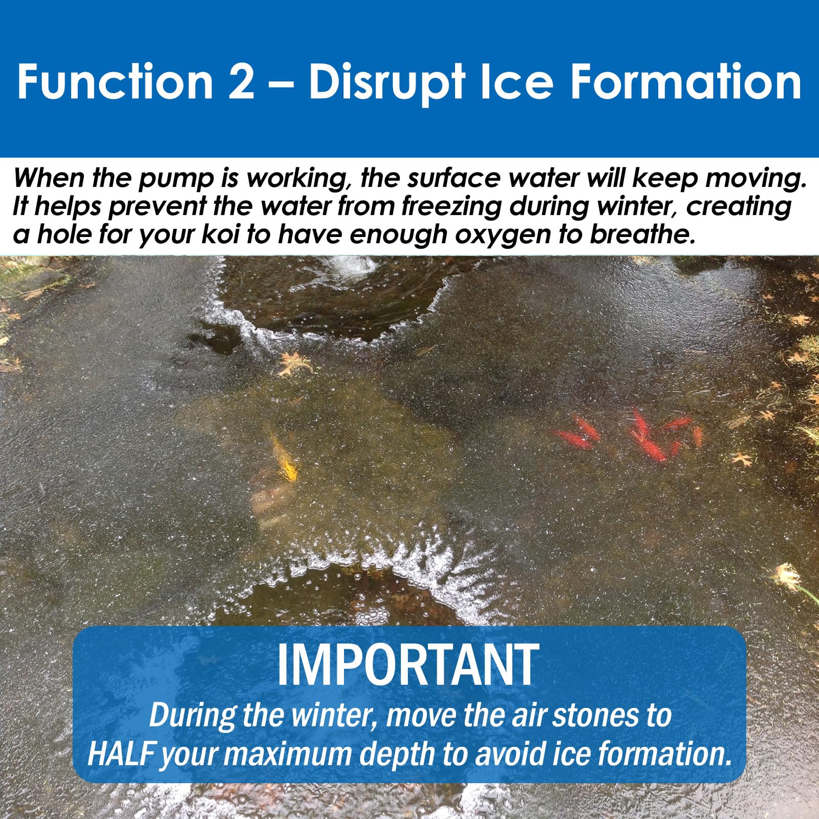 AquaMiracle All-in-One Koi Pond Aerator for Outdoor Ponds up to 1 - AquaMiracle Official Product View 6