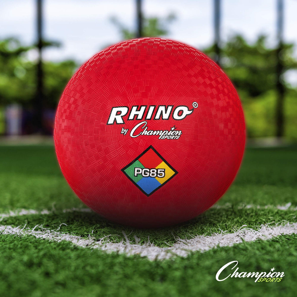 Champion Sports Physical Education Variety Playground - Champion Sports Official Imagery - 3