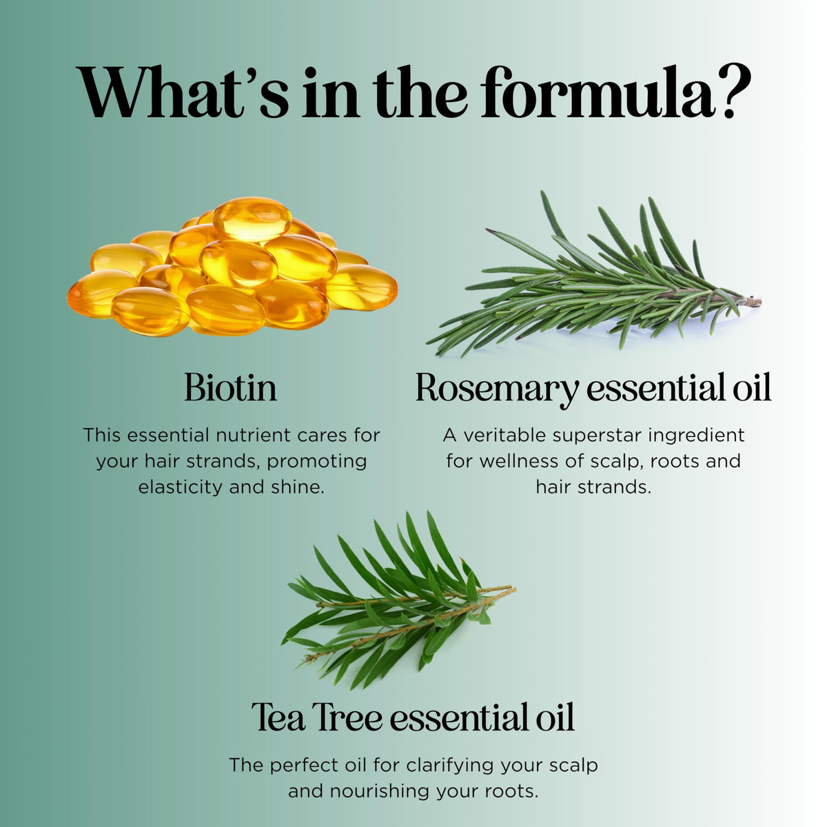 Volumizing Biotin and Rosemary Shampoo - Maple Holistics Official Imagery - 7