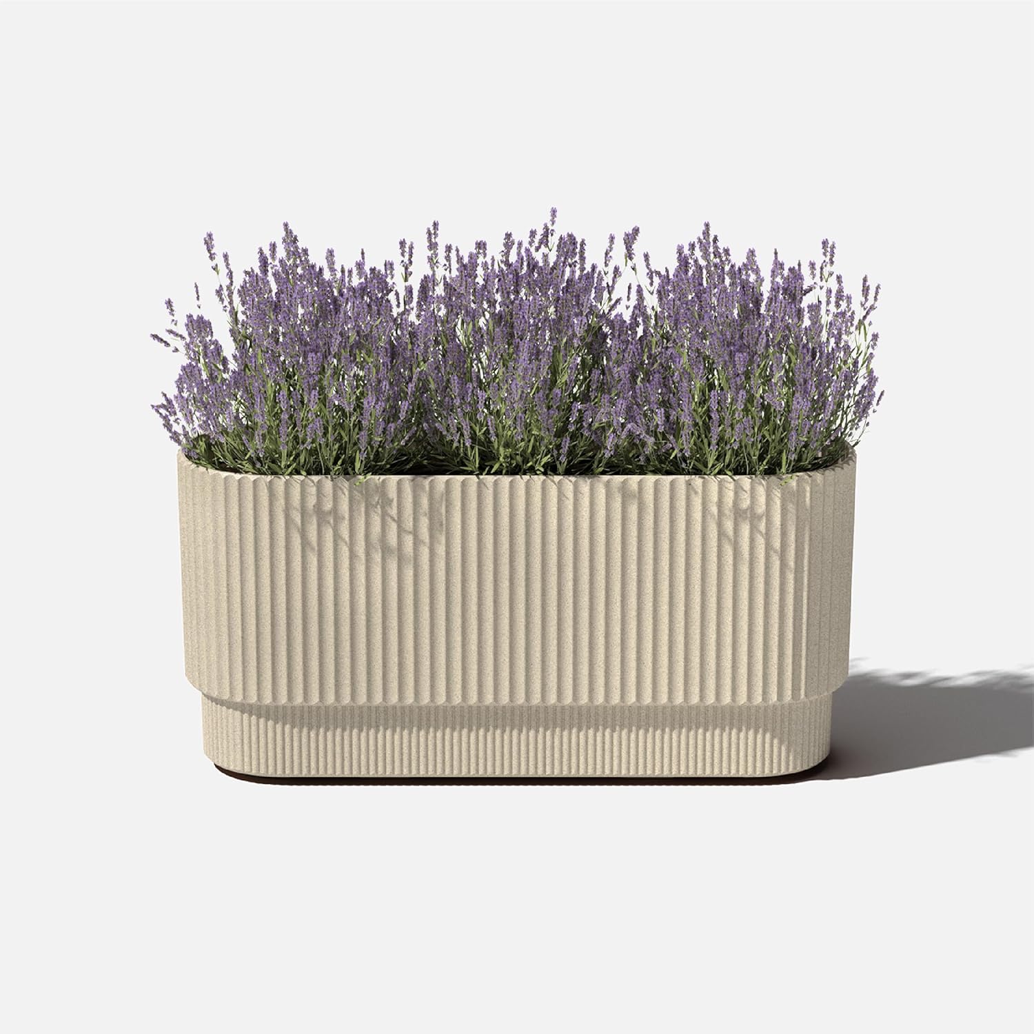 Beige rectangular planter with lavender on a white background