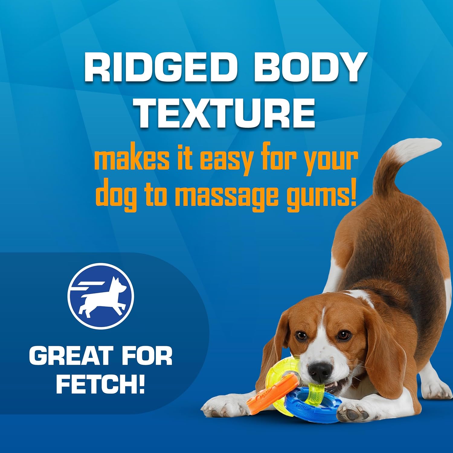 Nerf Dog toy gift set with three outdoor dog toys including a football for tug and fetch games.