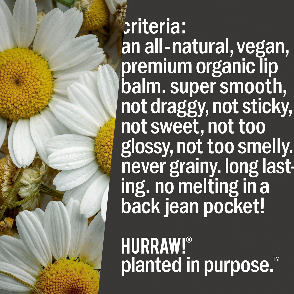 Hurraw Moon Night Treatment Lip Balm 5 Pack Organic - HURRAW! Official Imagery - 7