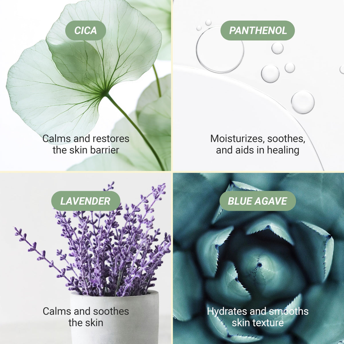 Meebak Cica Cleansing Water Pads - Meebak Official Product Imagery - 7
