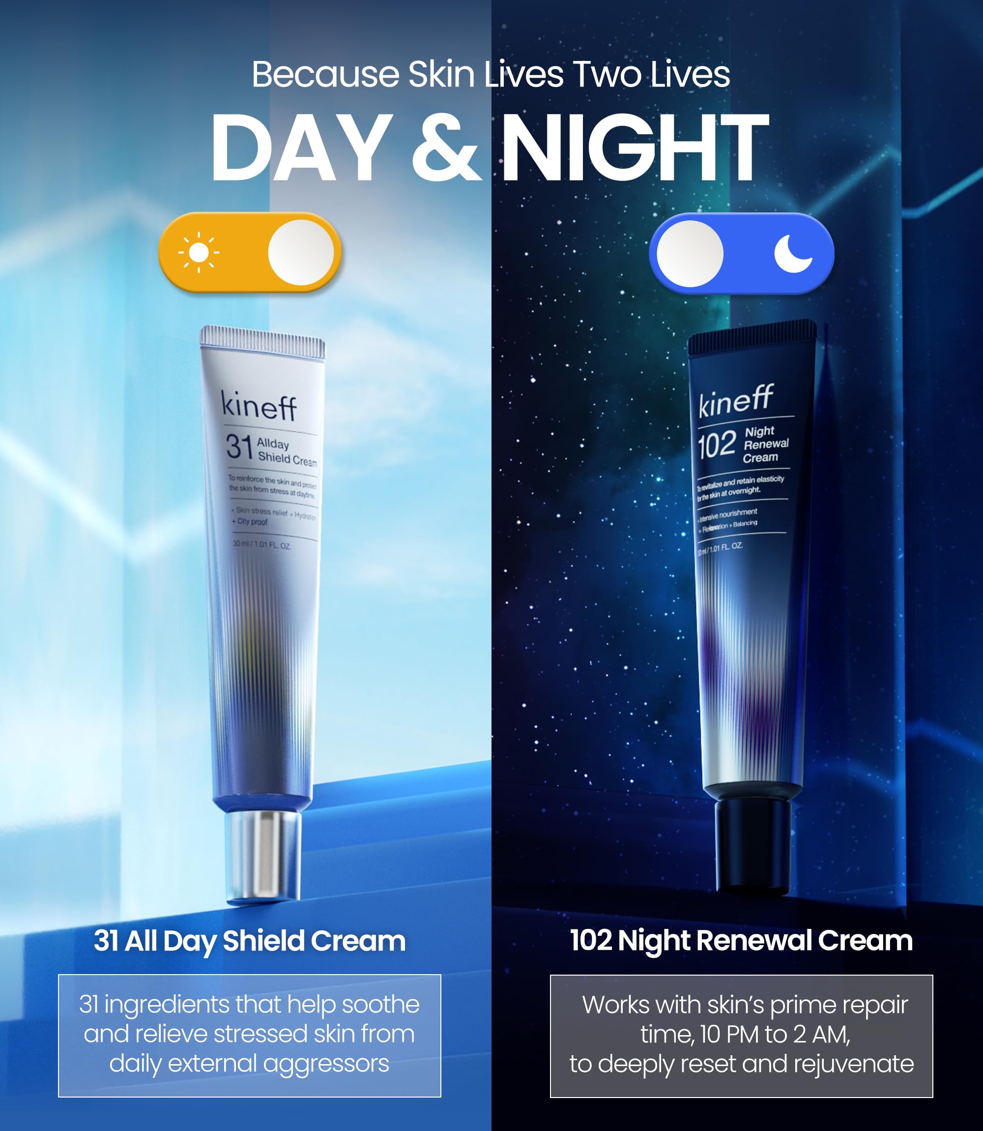 Kineff Dermacycle Program Day & Night 2 - Pack Face Cream 31 All Day Shield Crea - Kineff Official Product View 4