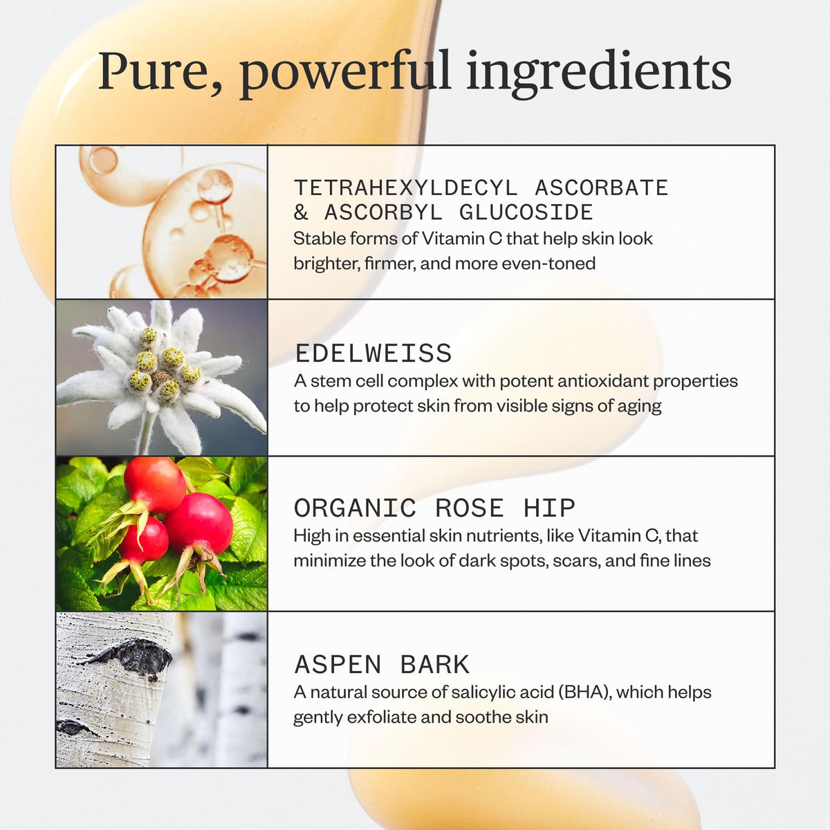 Ursa Major Natural Vitamin C Serum - Ursa Major Official Imagery - 5