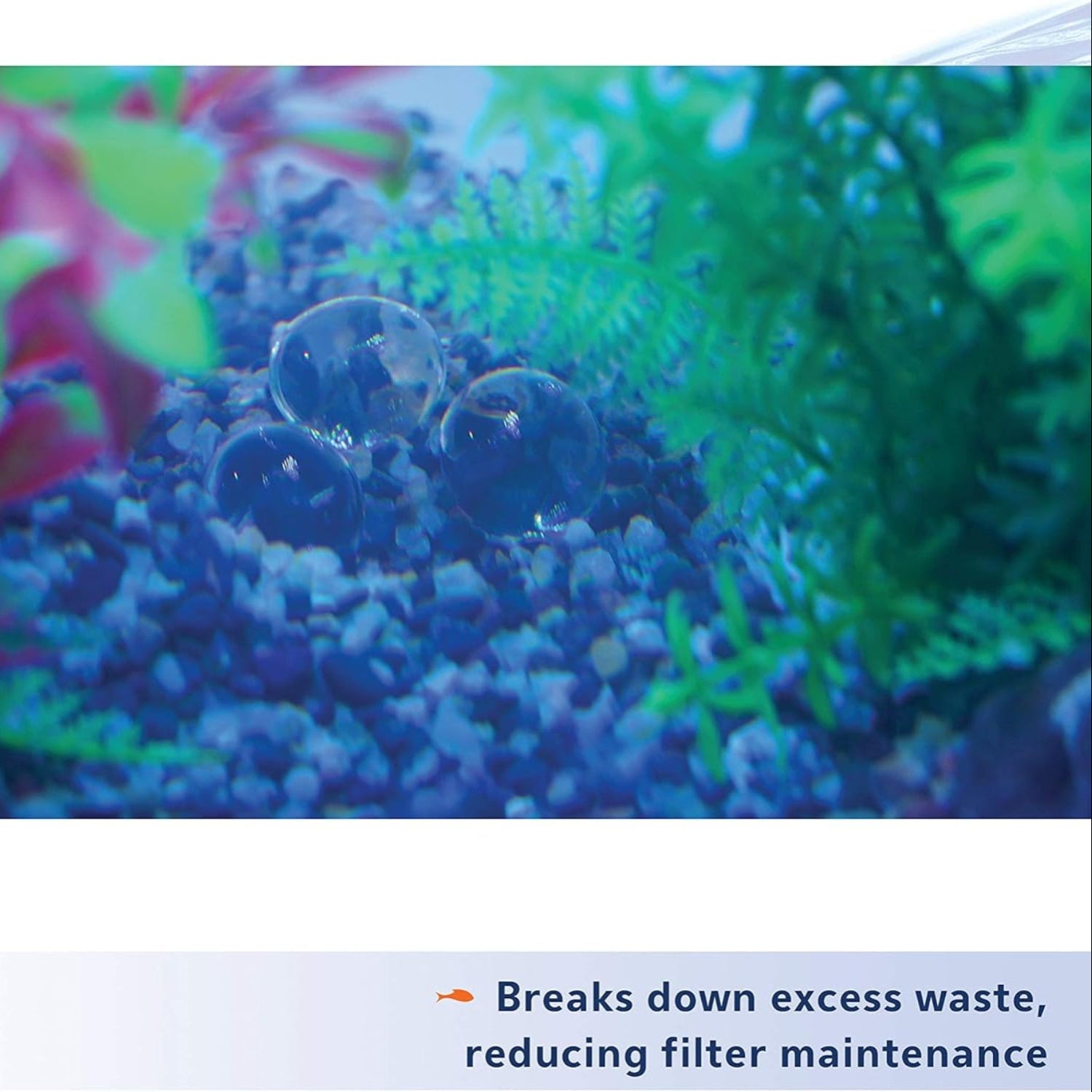 Aqueon Aquarium Pure Live Bacteria and Enzymes water supplement bottles for 10-gallon tanks, 12-pack, with label showing product details.