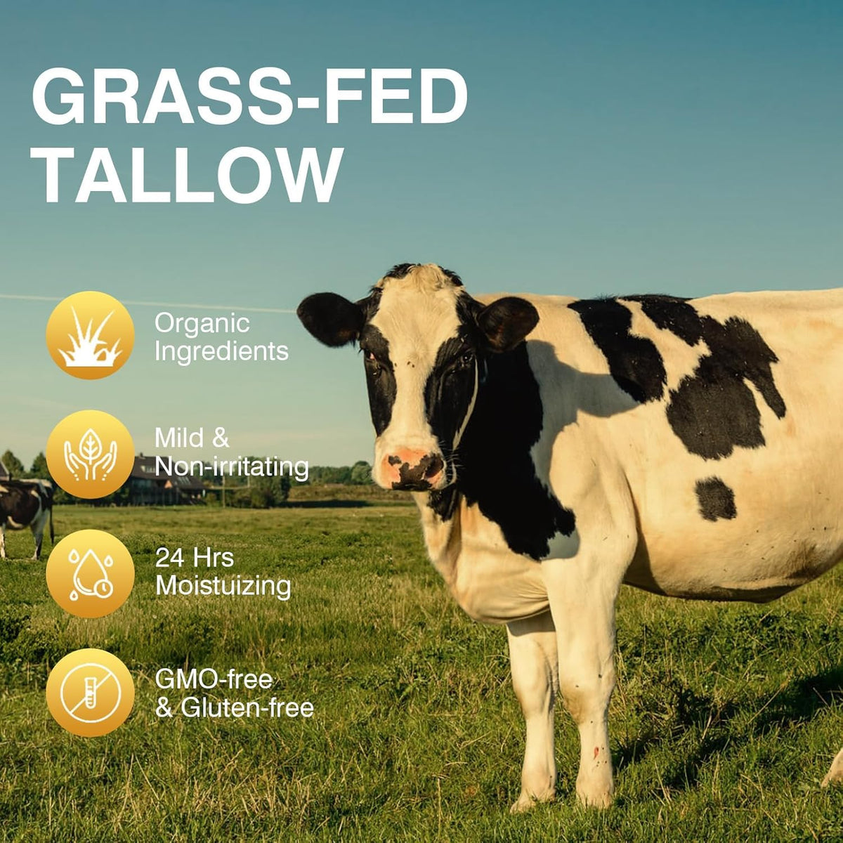 Beef Tallow for Skin Tallow and Honey Cream Tallow Face - MROUVIK Official Imagery - 4