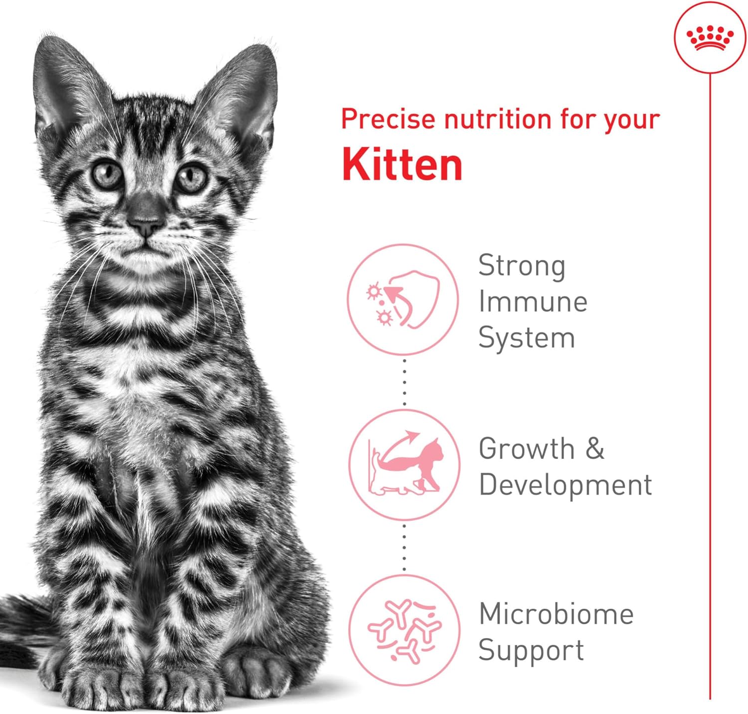 Elefair Royal Canin feline health dry kitten food, spayed/neutered formula in a 2.5 lb bag, featuring colorful packaging with a kitten illustration.