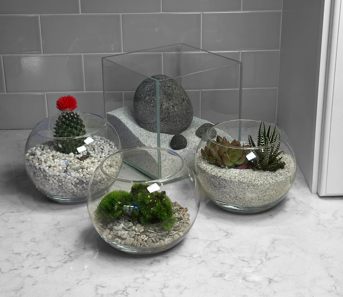 Aqua Natural Iwagumi Pebble Substrate Silver 7 7lb - Aqua Natural Official Imagery - 4