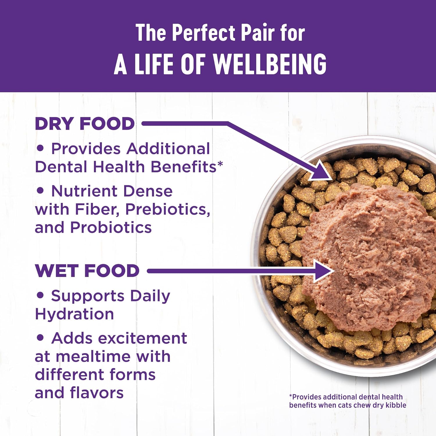 Wellness Complete Health adult dry cat food for indoor cats, grain-free with chicken and chicken meal in a 5.5 lb bag