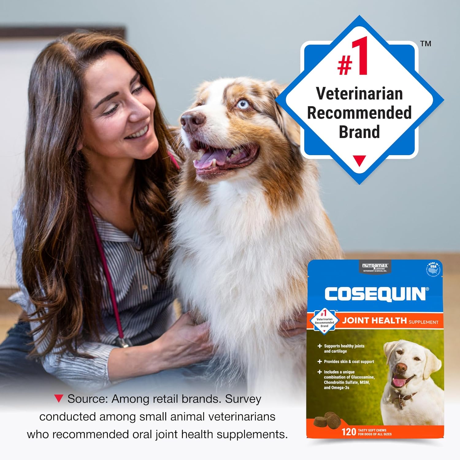 Nutramax Cosequin for Dogs joint health supplement bottle with label and cap, designed for canine joint support and mobility.