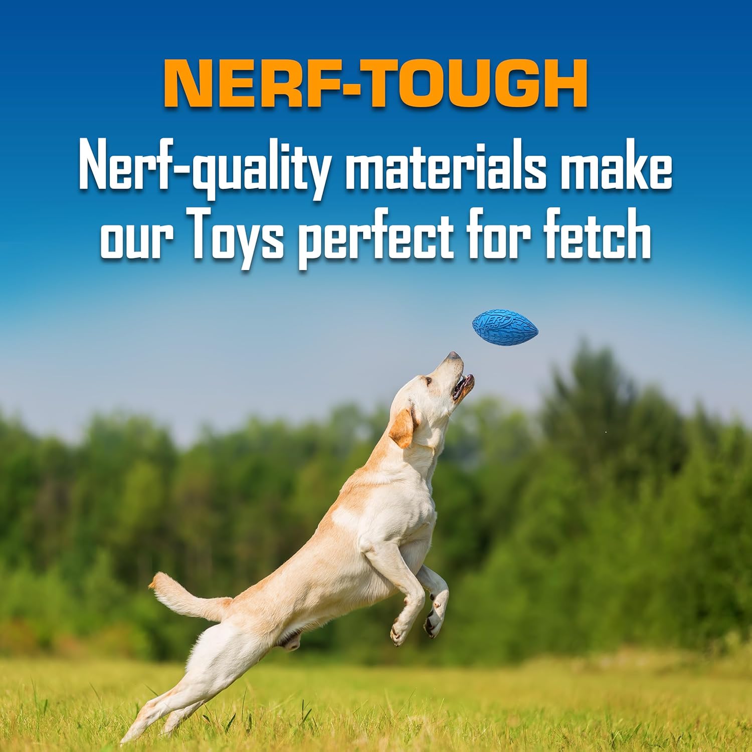 Nerf Dog Toy Gift Set with outdoor fetch toys including checker crunch ball, LED squeak ball, and tire squeak football