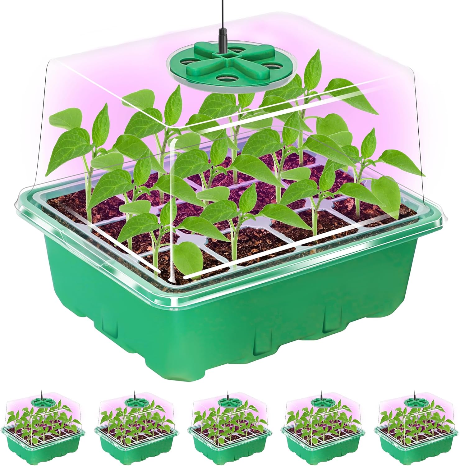 Bonviee seed starter tray with 5 packs, grow light, and elevated design for sprouting seedlings indoors.