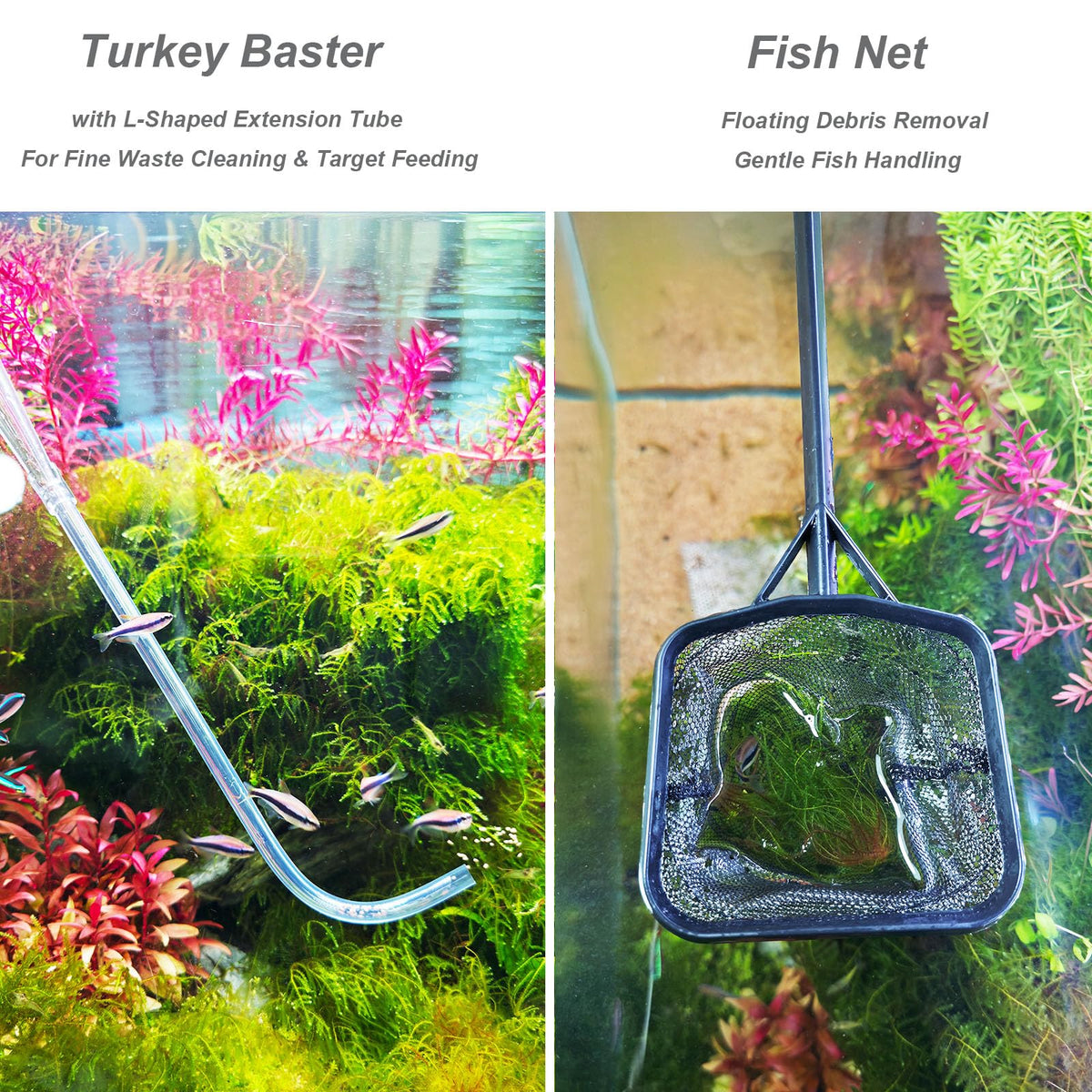Aquarium Siphon Vacuum Kit with Turkey Baster Fish Net for - Woznusy Official Imagery - 5