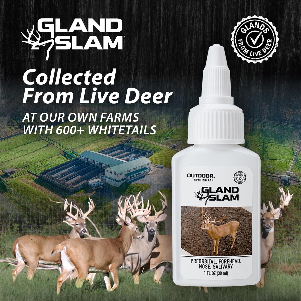 Gland Slam Whitetail Multi Gland Deer Scent - Outdoor Hunting Lab Official Imagery - 3