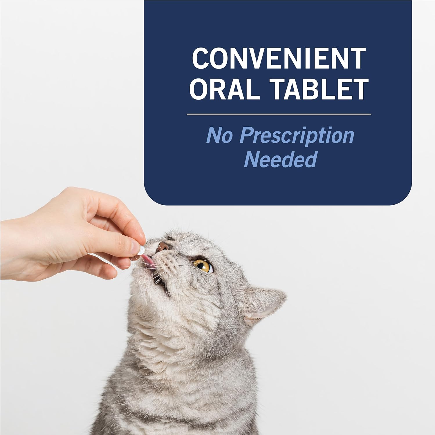 PetArmor CAPACTION oral flea treatment for cats, showing a box of PetArmor flea medication for feline use.