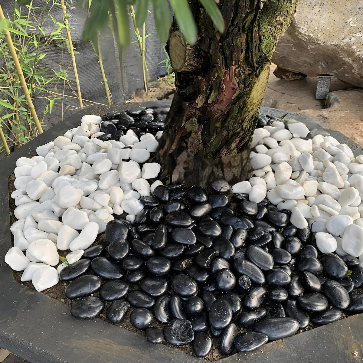 20 lbs Black Stones for Landscaping 2 3 Inch Large Rock for - FANTIAN Official Imagery - 3
