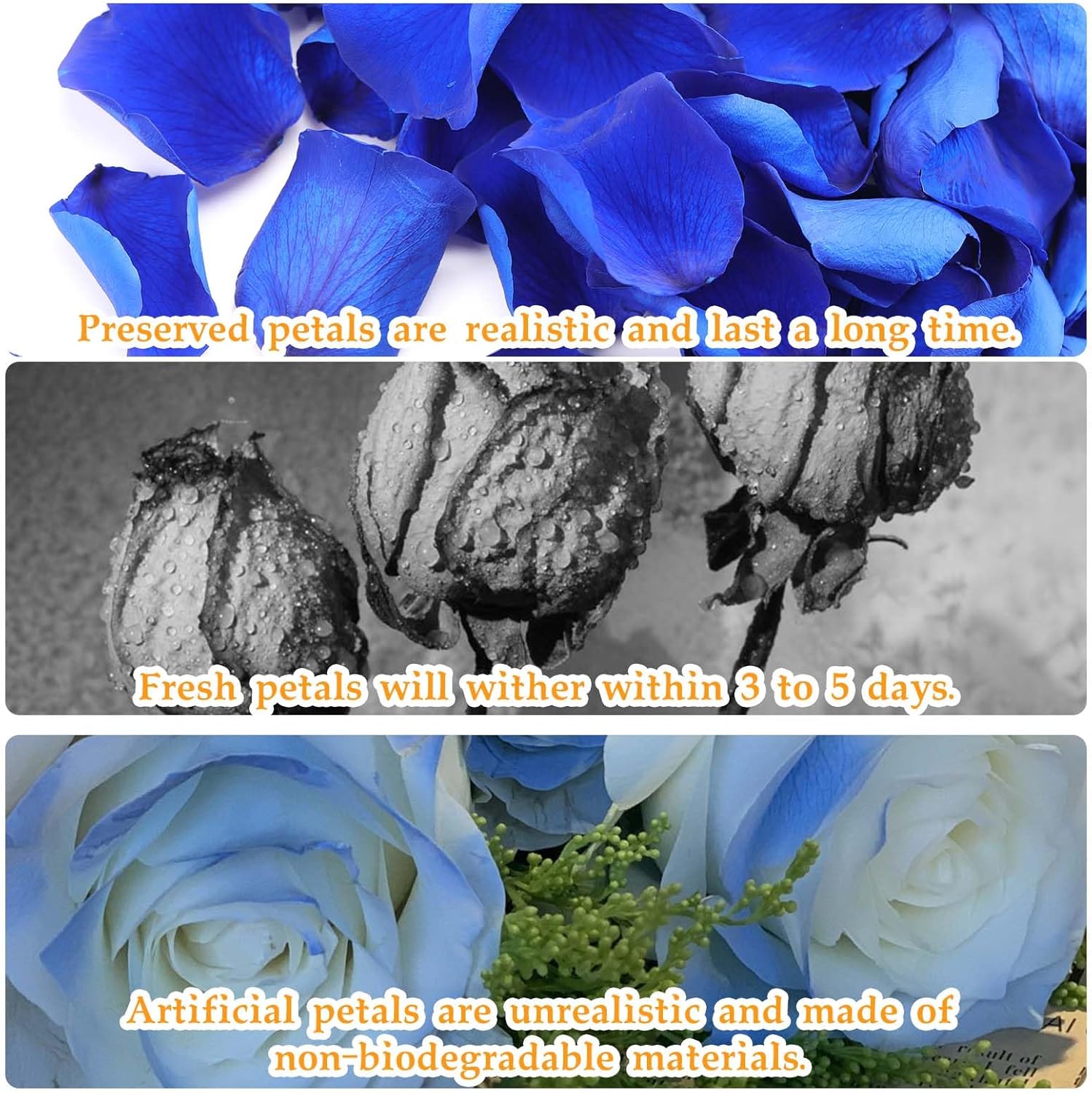 Dried real rose petals by Tavkite, natural preserved dry flower petals for weddings and parties, showing soft pink and red petals.