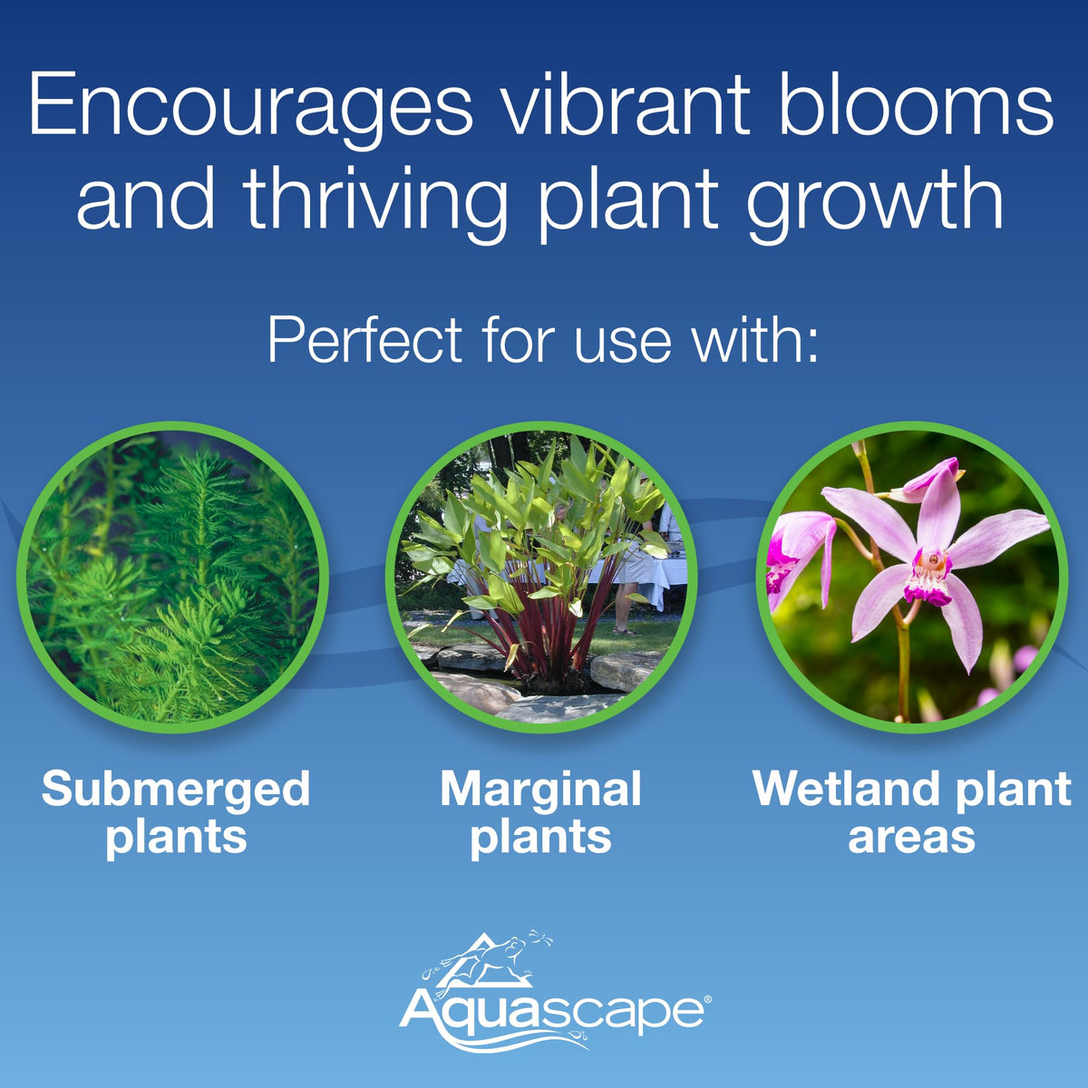 Aquascape Pond Plant Potting Media Nutrient Rich Aquatic - Aquascape Official Imagery - 3