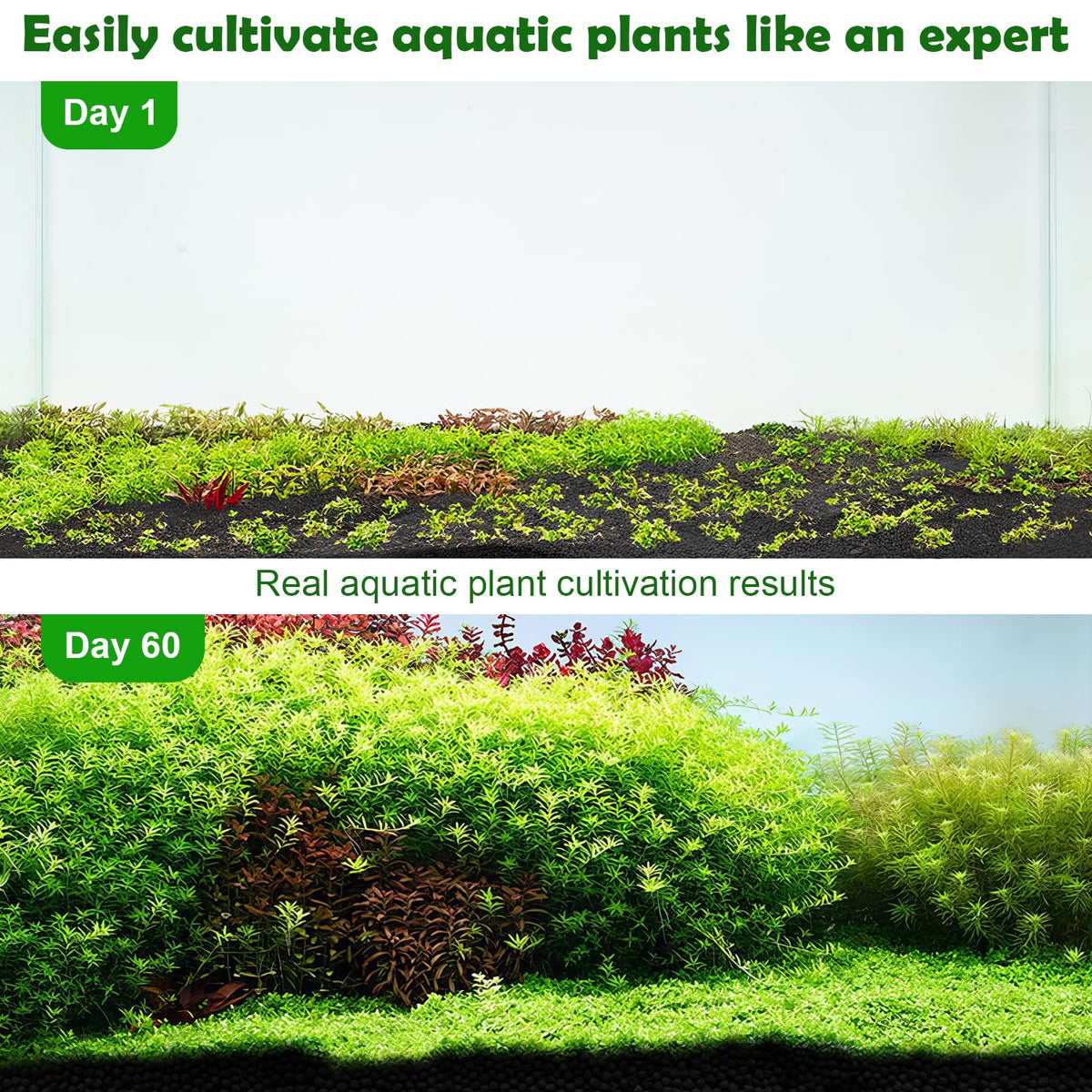 6 6Ib Aquarium Soil Water Grass Mud Fish Tank Aquascaping - Hygger CO2 Official Imagery - 7