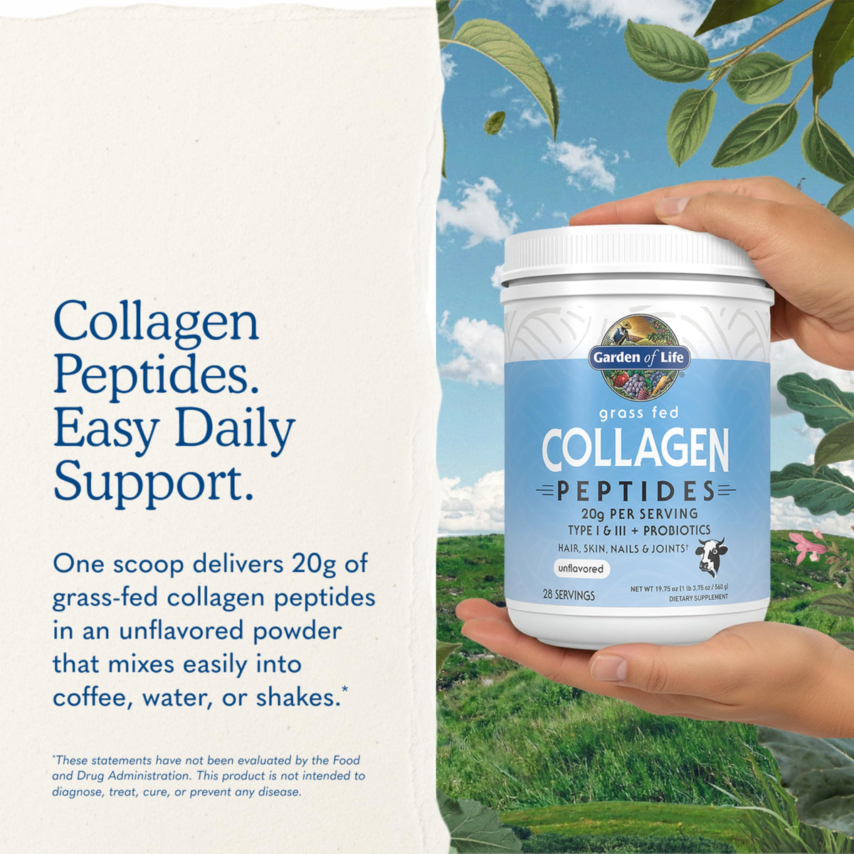 Garden of Life Grass Fed Collagen Powder Unflavored 28 - Garden of Life Official Imagery - 8