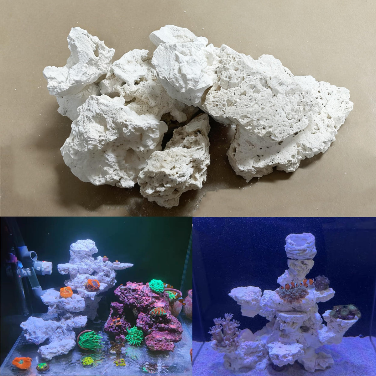 YZHZOM Dry Base Rock for Aquarium White Coral Ornament Sea - YZHZOM Official Imagery - 1