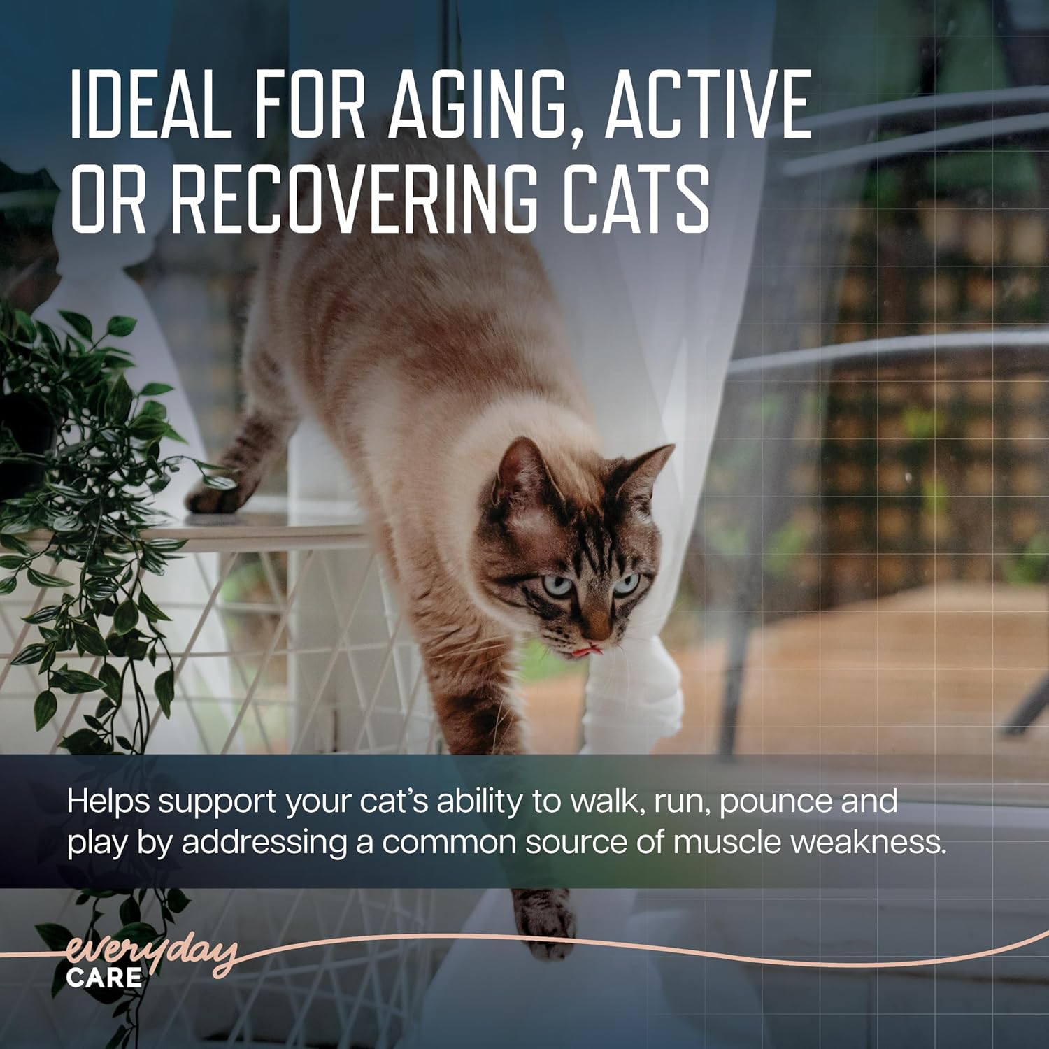 Virbac URSOLYX™ Soft Chews for cats, muscle health support for senior and active cats, soft chew treats in a resealable bag.