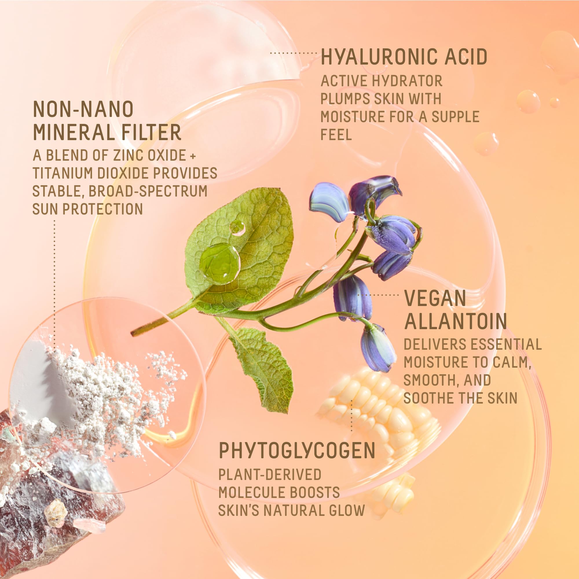 BIOSSANCE Squalane Daily Mineral SPF 50 Sunscreen Lotion - BIOSSANCE Official Imagery - 5
