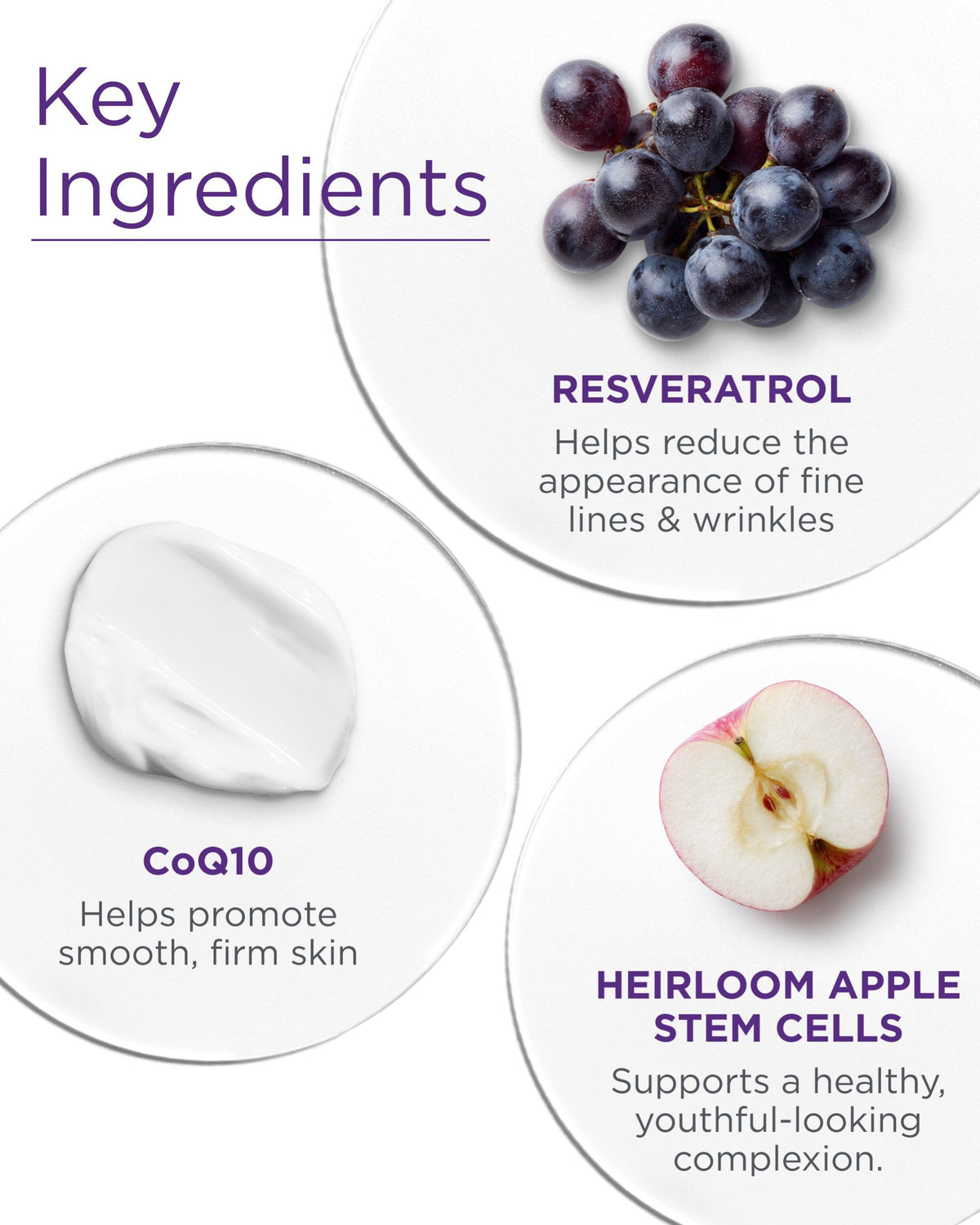 Andalou Naturals Resveratrol Q10 Night Repair Cream For Dry - Andalou Naturals Official Imagery - 6