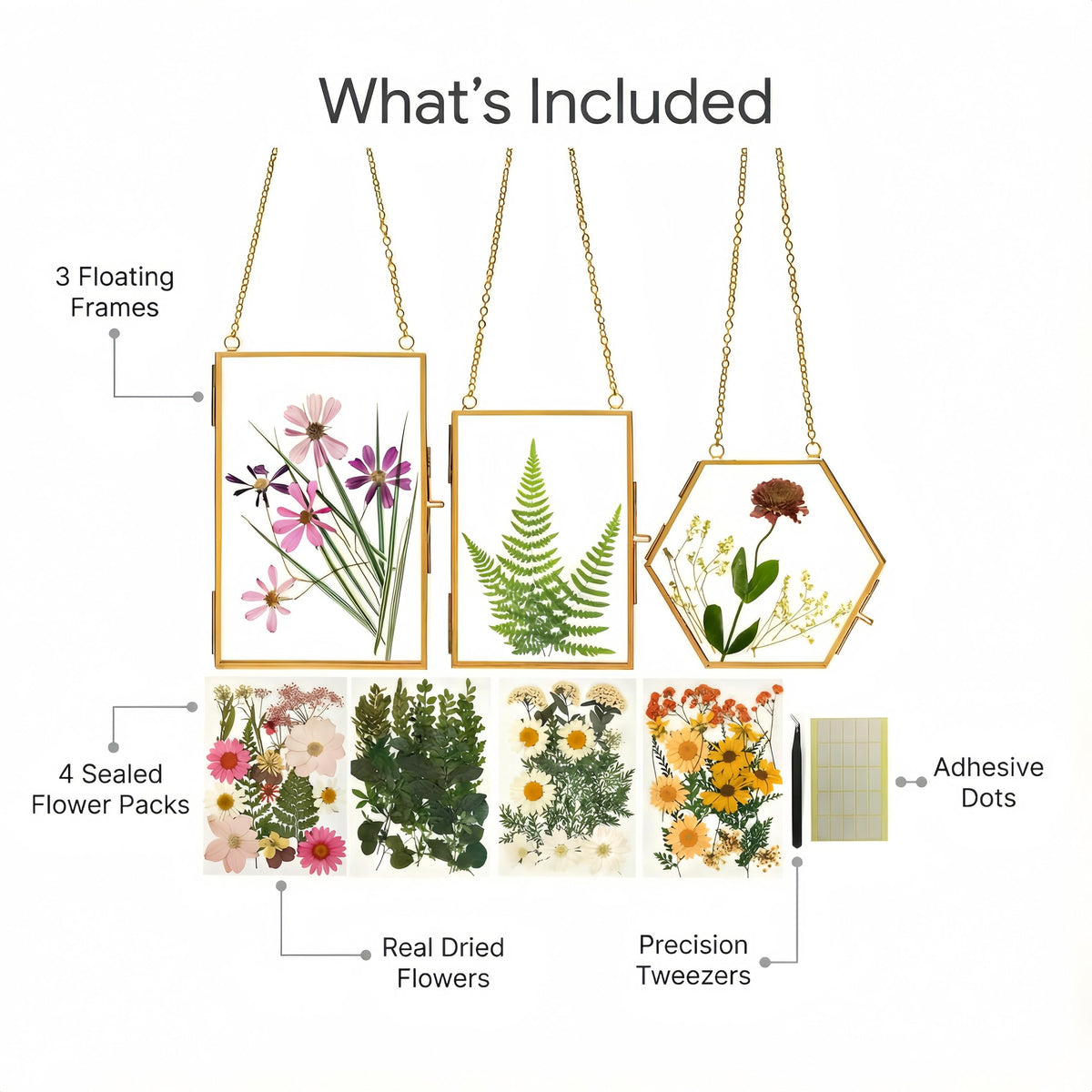 Relaxing Garden Pressed Flower Frame Kit 3 Hanging Glass - Relaxing Garden Official Imagery - 3