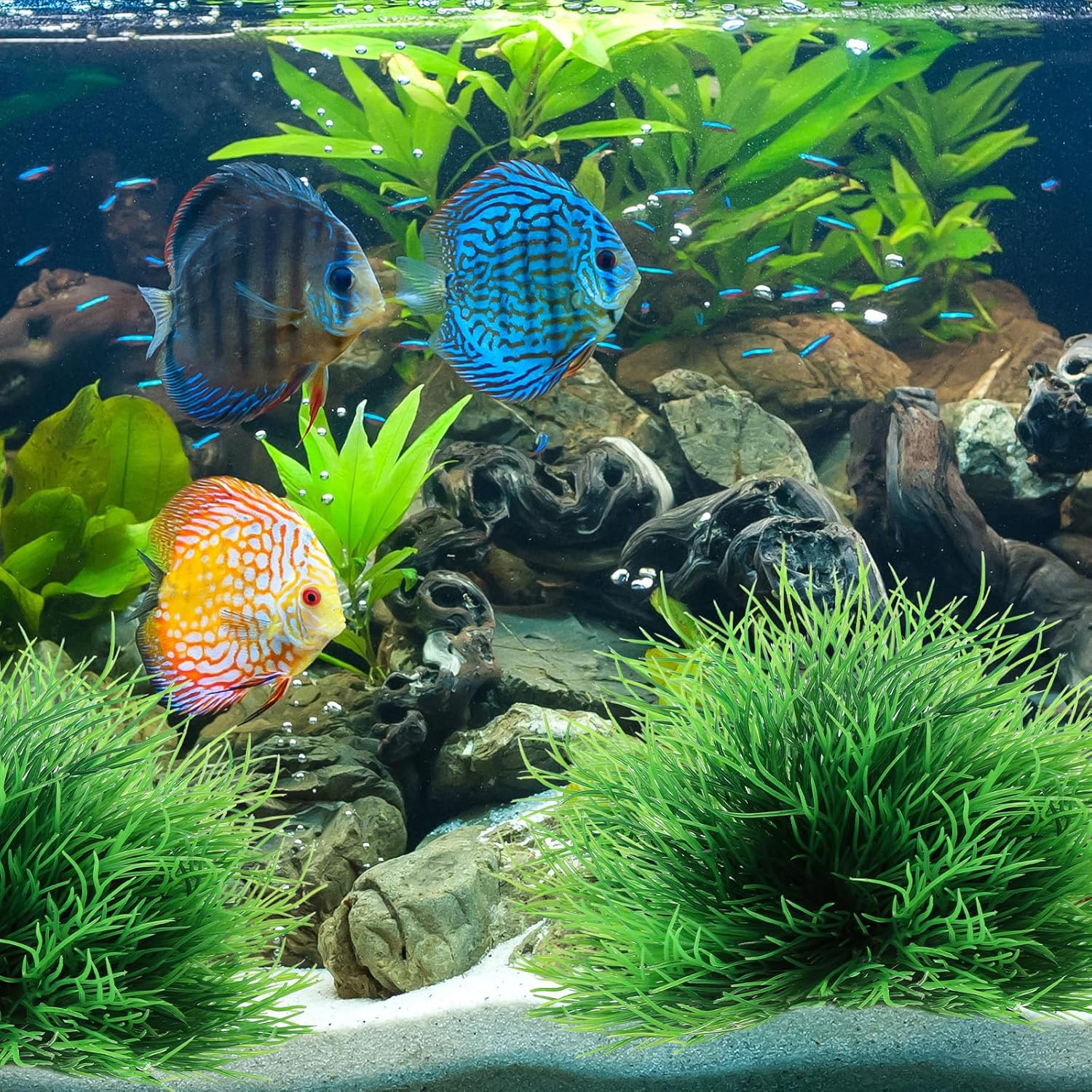 Pair of artificial aquarium plants decorations for fish tanks, featuring vibrant green foliage and realistic aquatic plant details.