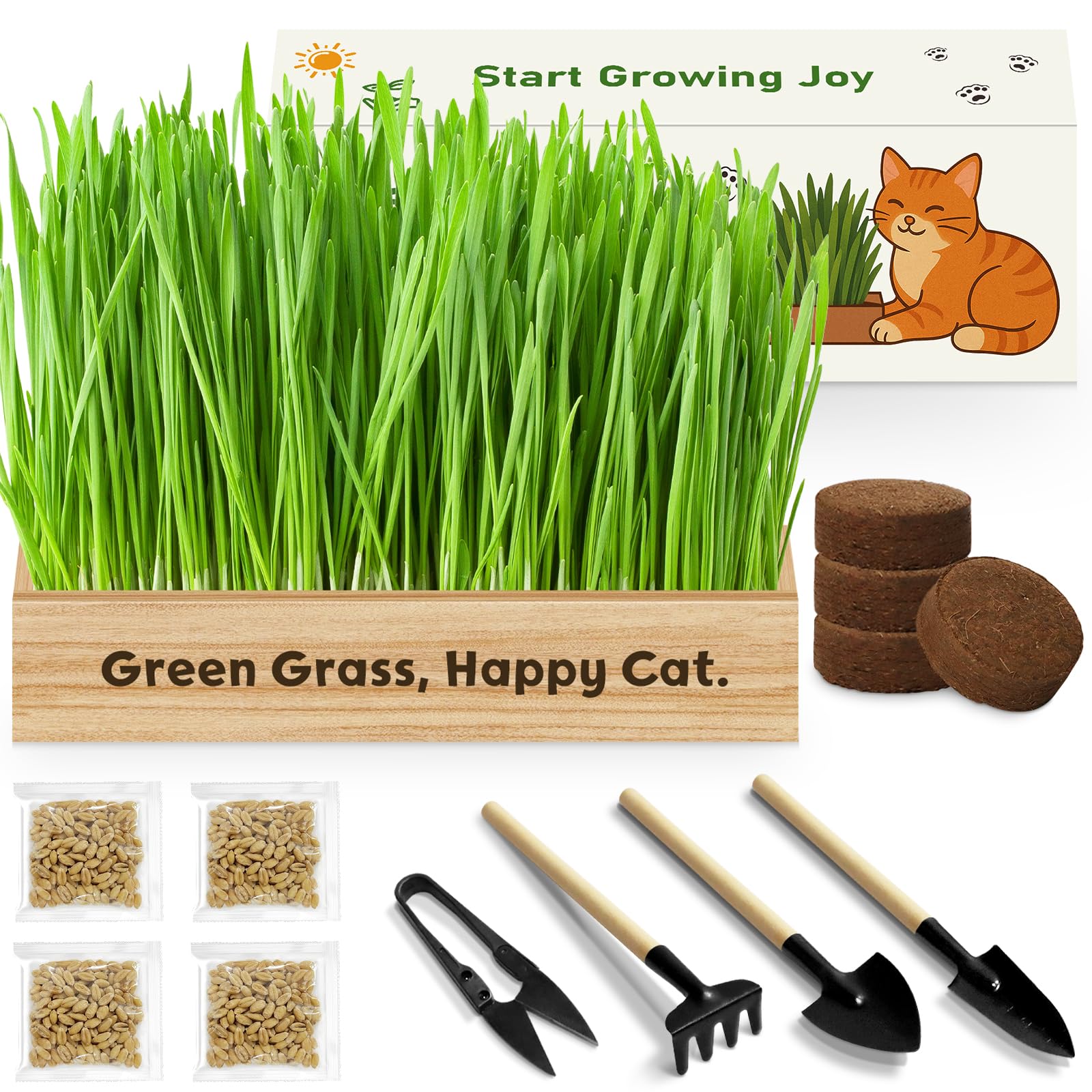 Cat Grass Kit for Indoor Cats, Non-GMO Wheat Cat Grass Seeds - Product Imagery