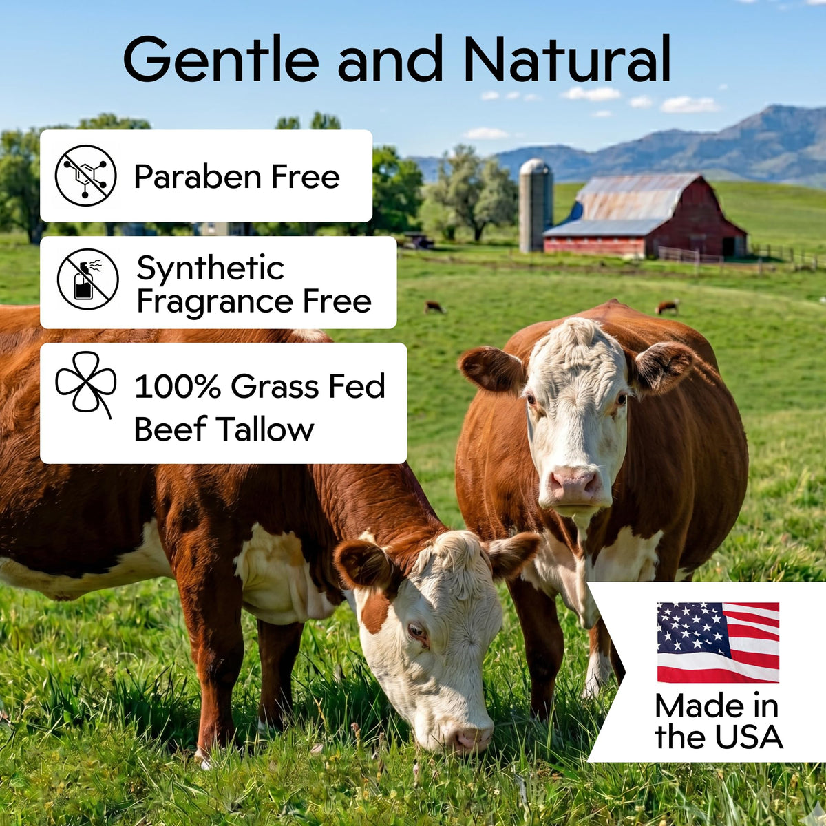 Clearbody Organics 2oz Grass Fed Beef Tallow and Honey Face - Clearbody Organics Official Imagery - 8