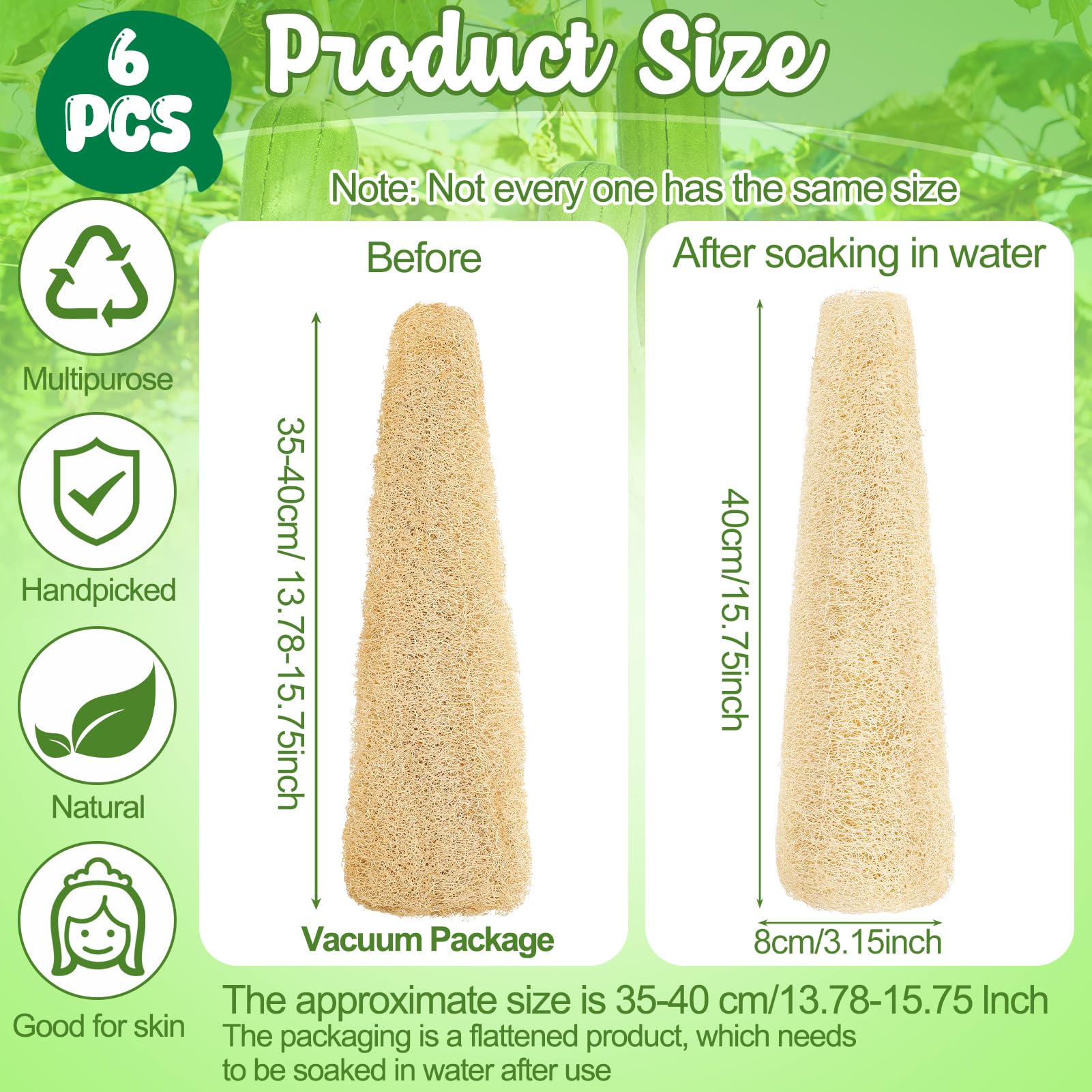ZhouBoat Natural Loofah Sponge 13.8 - 15.7 Inches Women - ZhouBoat Official Product View 7