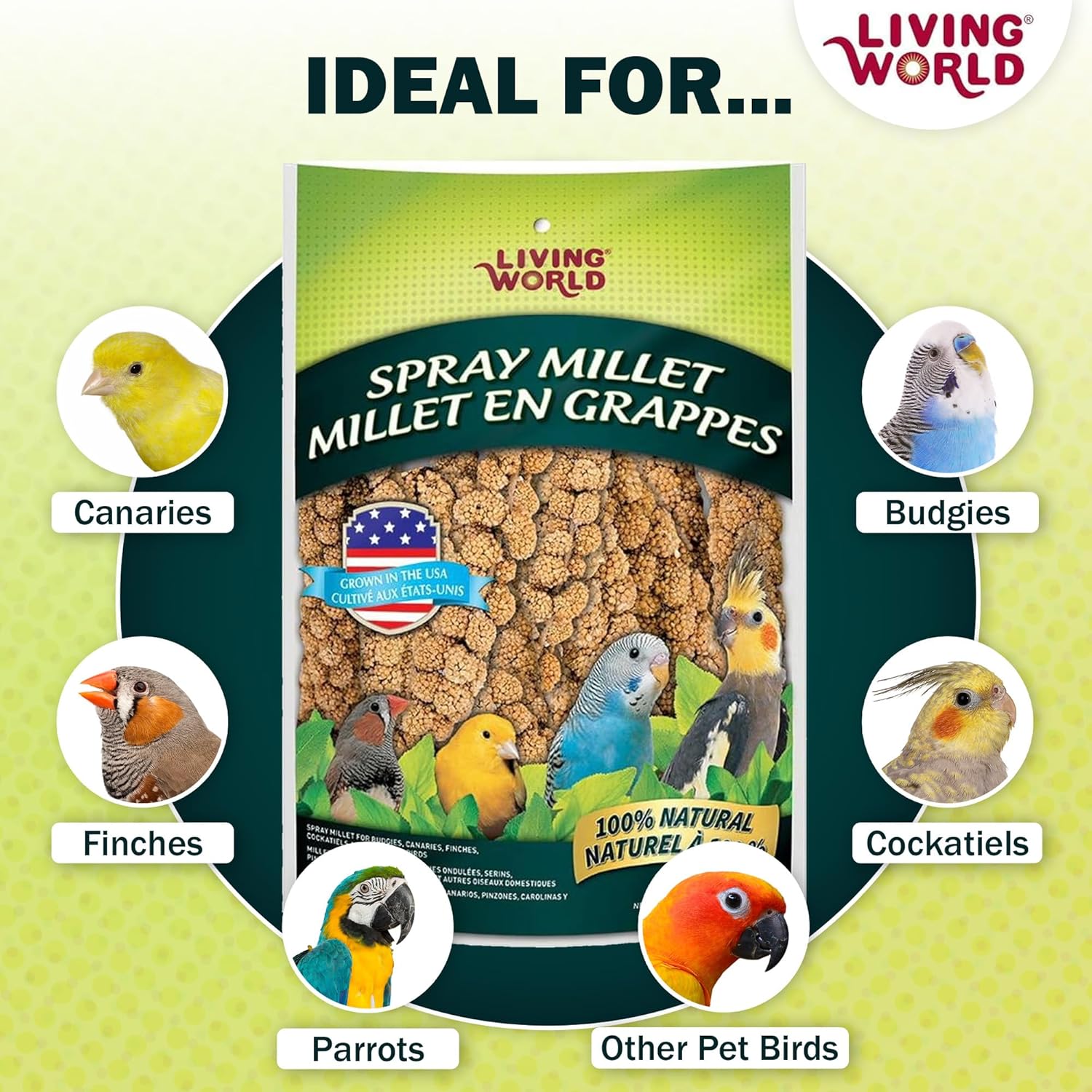 Living World millet spray for birds, 7 oz, natural treat for budgies, canaries, finches, cockatiels, and pet birds.