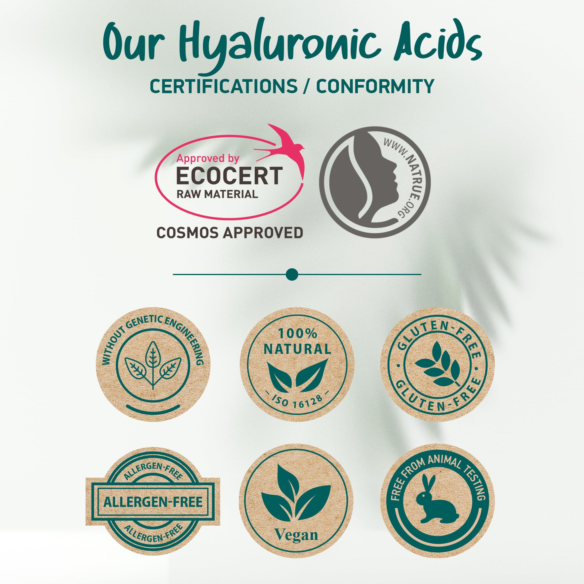 Soena Organic Hyaluronic Acid Serum for Face - Best Hyaluronic Acid + 4 Hyaluronic Si - Soena Official Product View 8