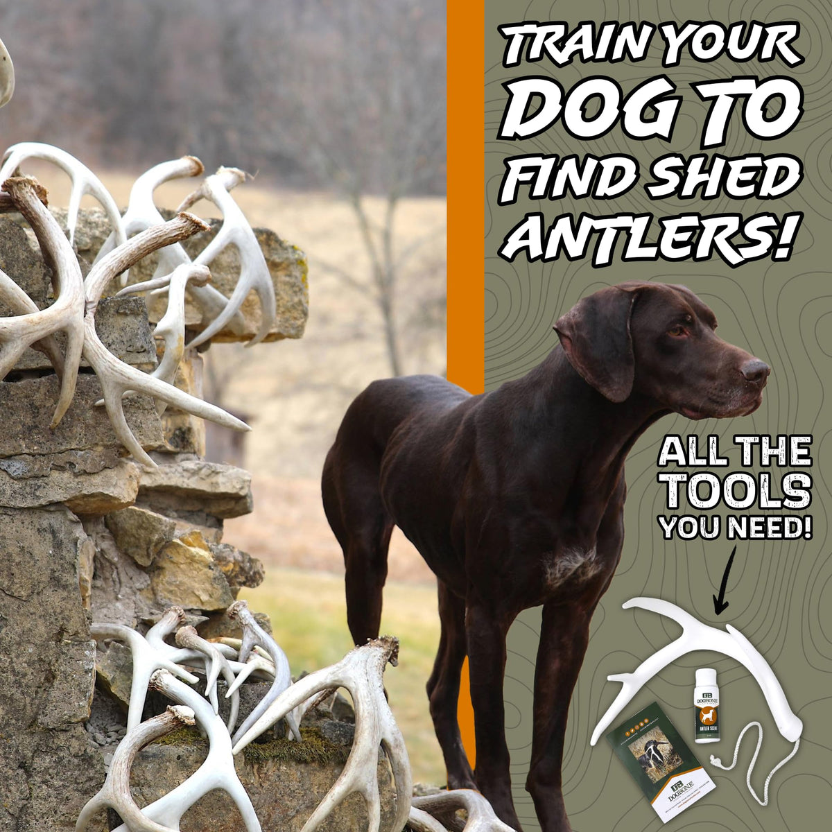 DogBone Shed Hunting Dog Training Kit Train Your Puppy to - DogBone Official Imagery - 3