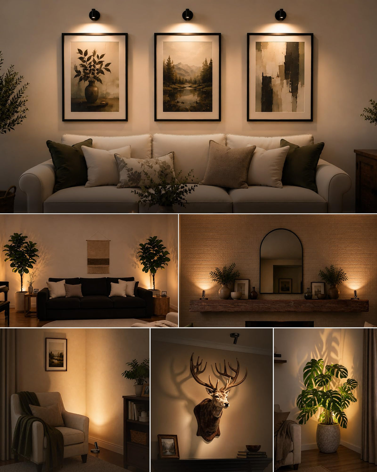 EZVALO Indoor Spotlights Picture Lights for Wall Plant - EZVALO Official Imagery - 6