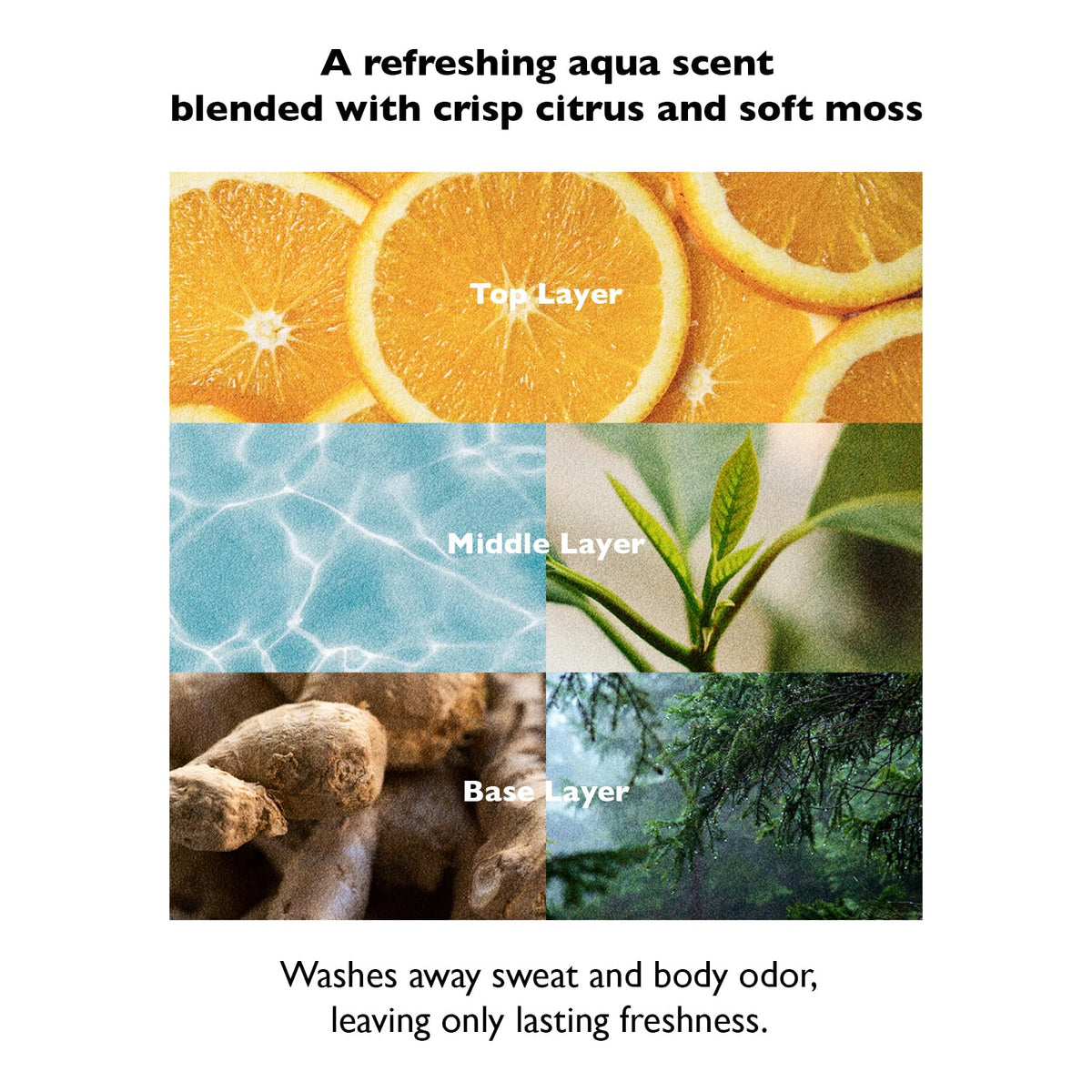 Lazy Society All in One Deep Scent Wash for Men 10 14 fl oz - Lazy Society Official Imagery - 6