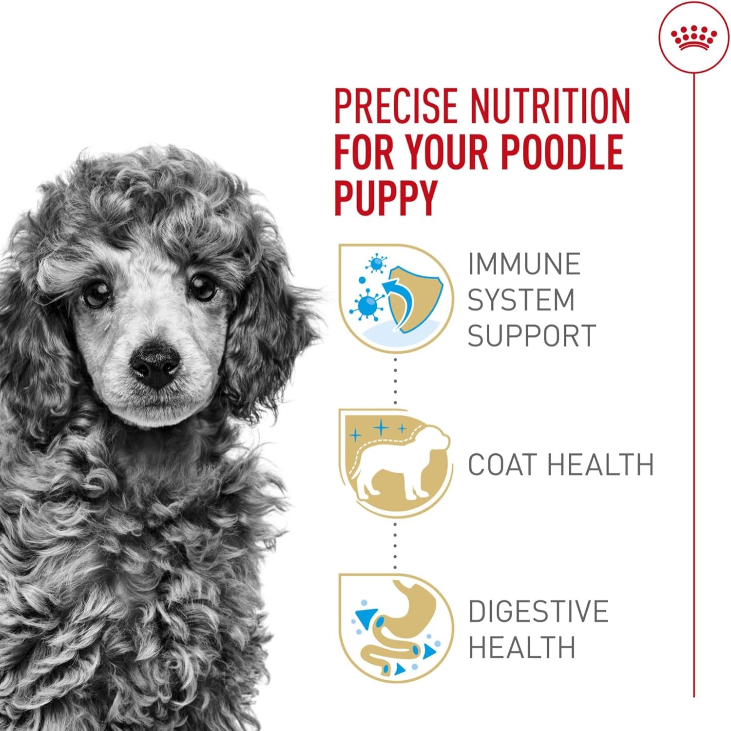 Elefair Royal Canin Poodle Puppy dry dog food in a 2.5 lb bag, specially formulated for poodle puppies.