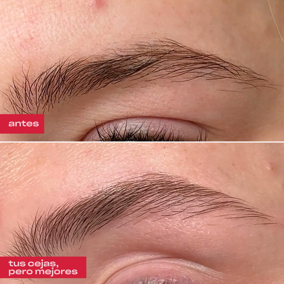 GR A Eyebrow Enhancing Serum Grow thicker and Healthier - gróa Official Imagery - 4