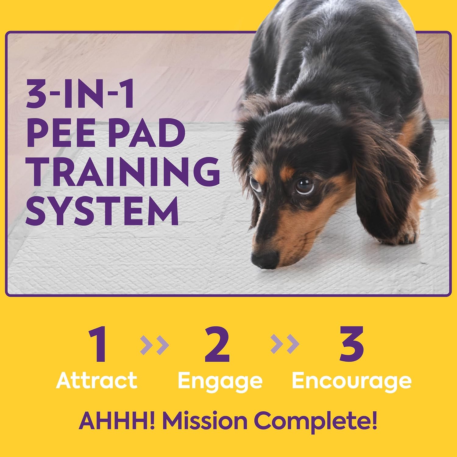 OUT! PetCare XL training pads for dogs, leak-proof disposable pee pads with absorbent surface and waterproof backing.