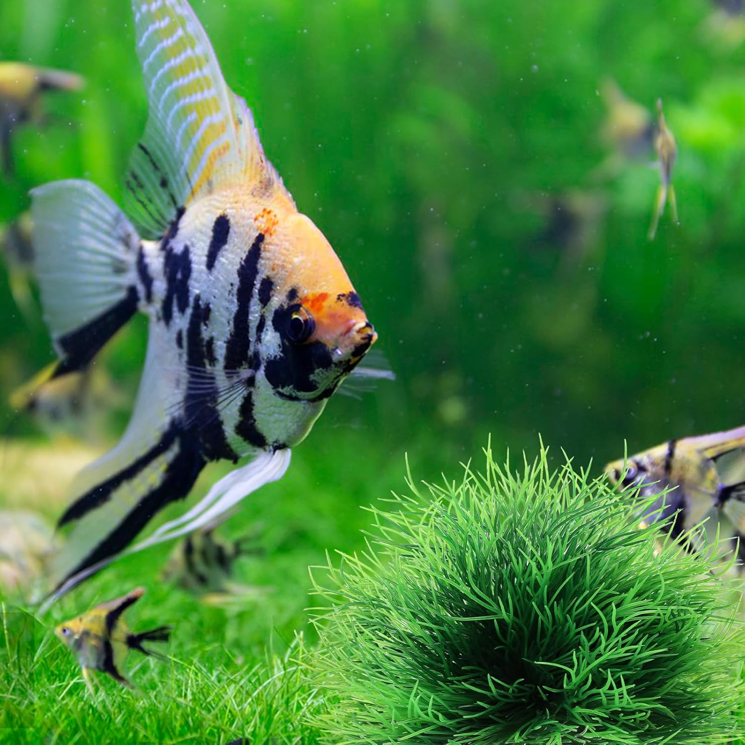 Two artificial aquarium plant decorations for fish tanks, colorful and realistic, by FdcLixuvol.