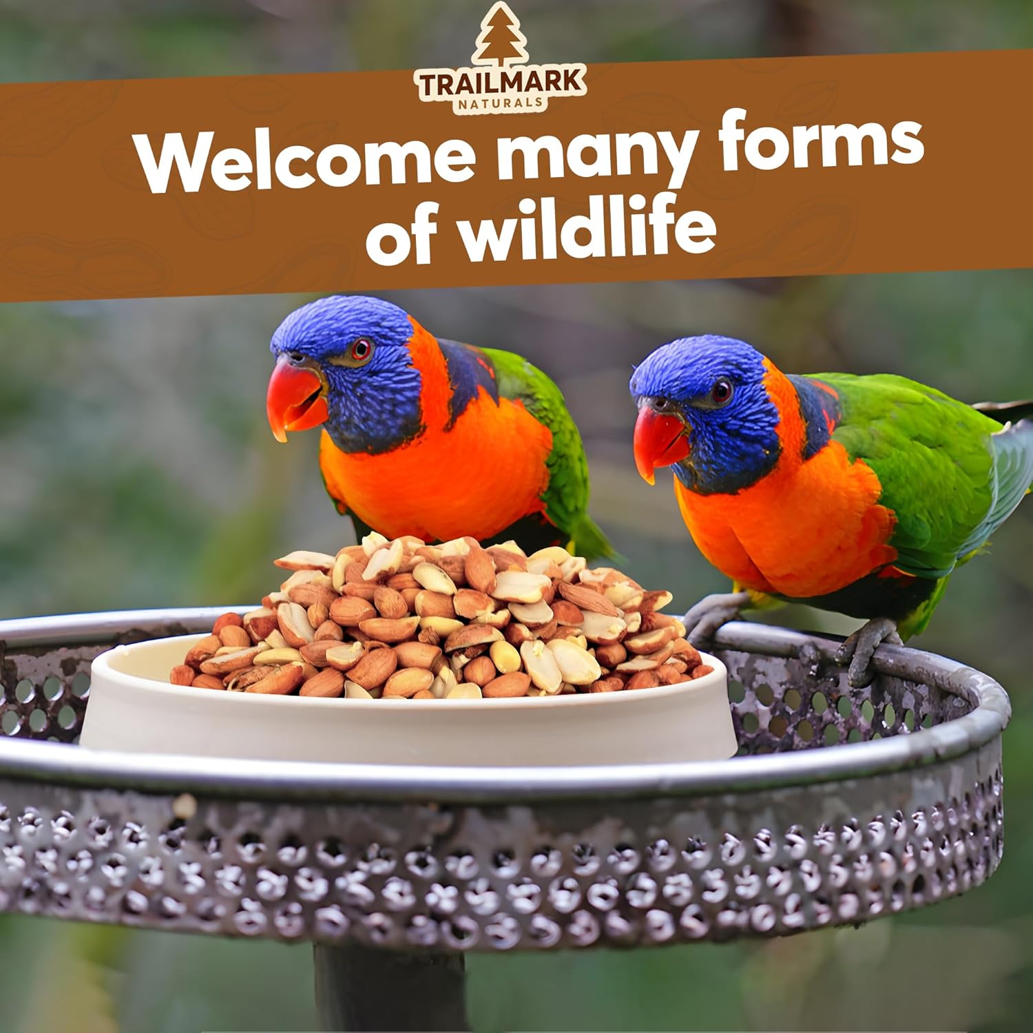 11 LB - Raw Shelled Peanuts for Squirrels, Out of Shell Peanuts for Birds